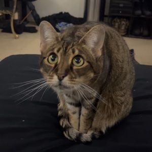 Meet your Posher, Matthew